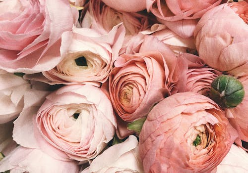 Flower wall backdrop