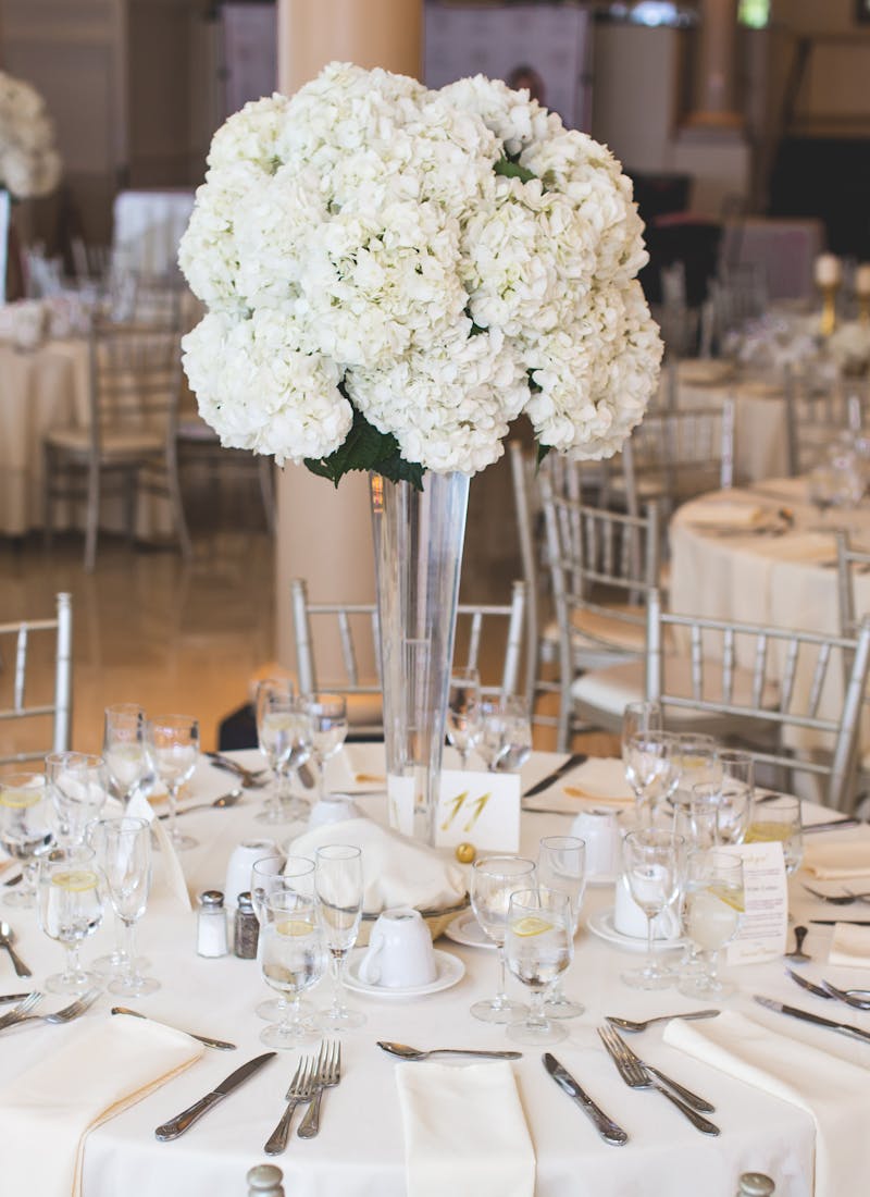 Party guests celebrating